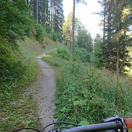 达马尔科酒店 酒店 维戈迪卡多雷