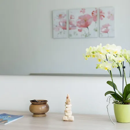 酒店 达马尔科酒店